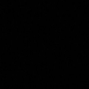 Meet your Posher, Allie